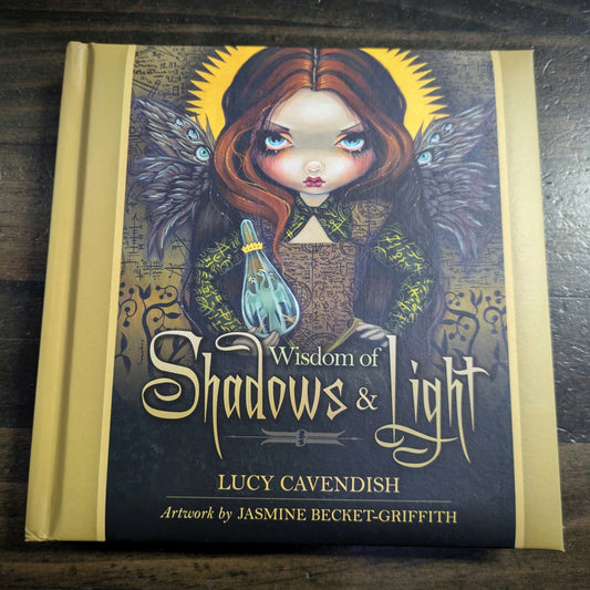 Wisdom of Shadows & Light - Lucy Cavendish image 0