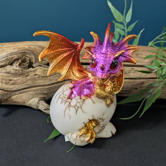 Colourful Dragon In Egg image 0