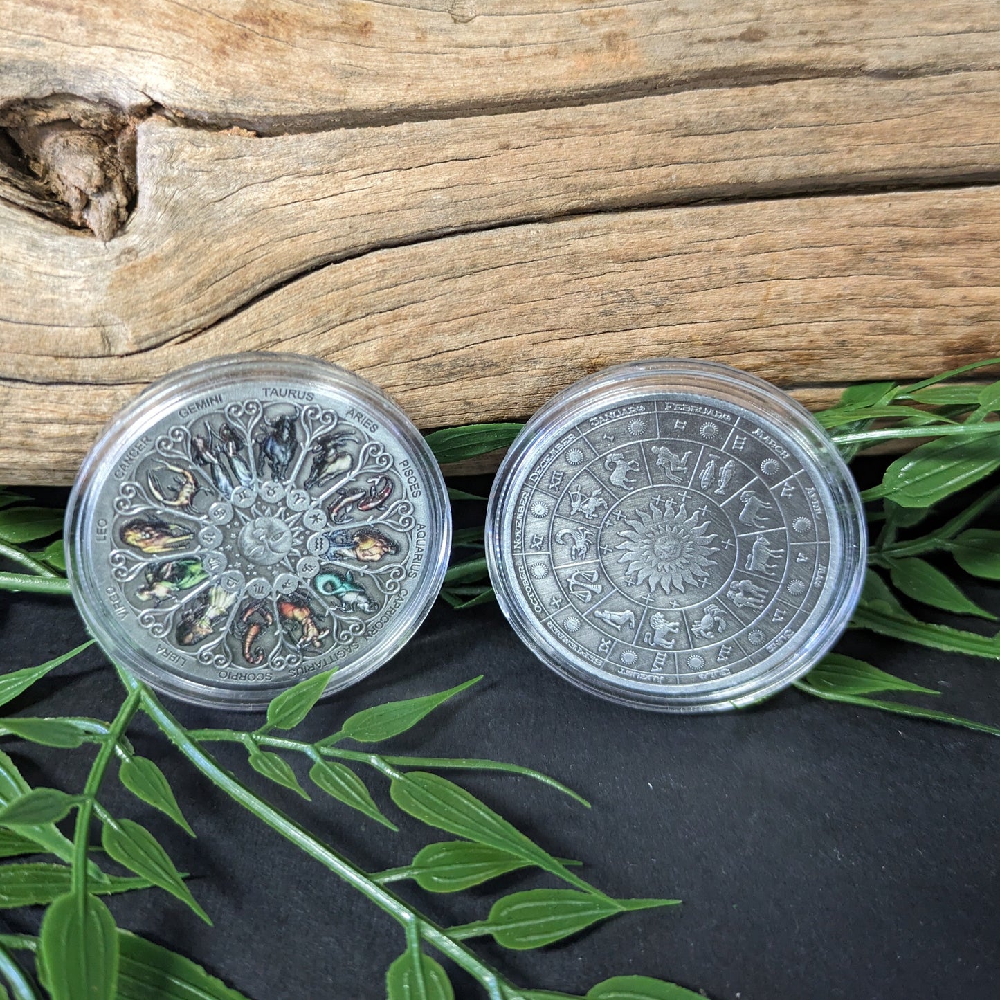 Horoscope Coin image 0