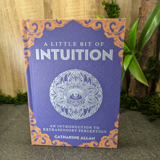 A Little Bit of Intuition