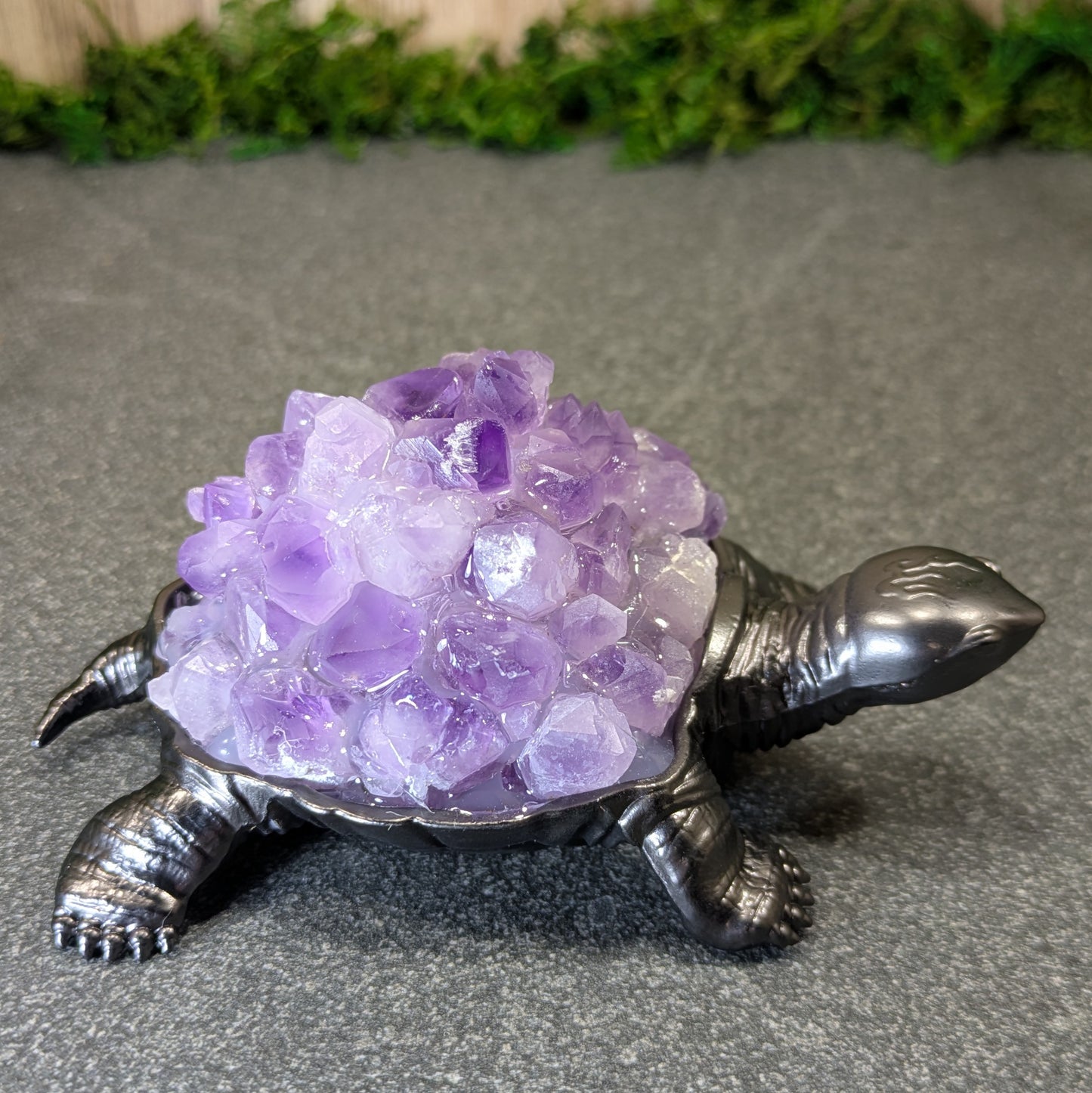 Amethyst Turtle