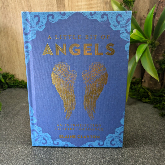 A Little Bit of Angels