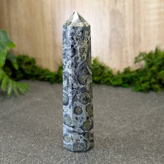 Kambaba Jasper Crystal Tower