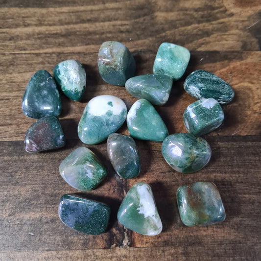 Indian Agate - Tumbled image 0