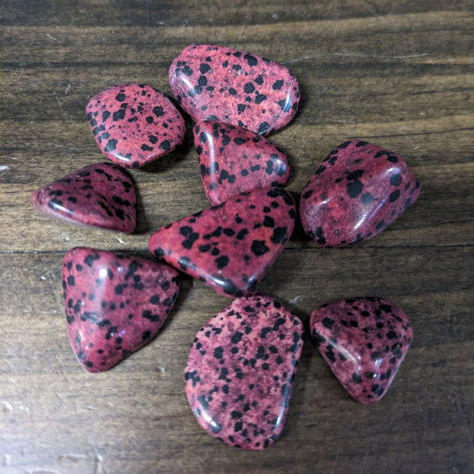 Red Dalmation - Tumbled image 0