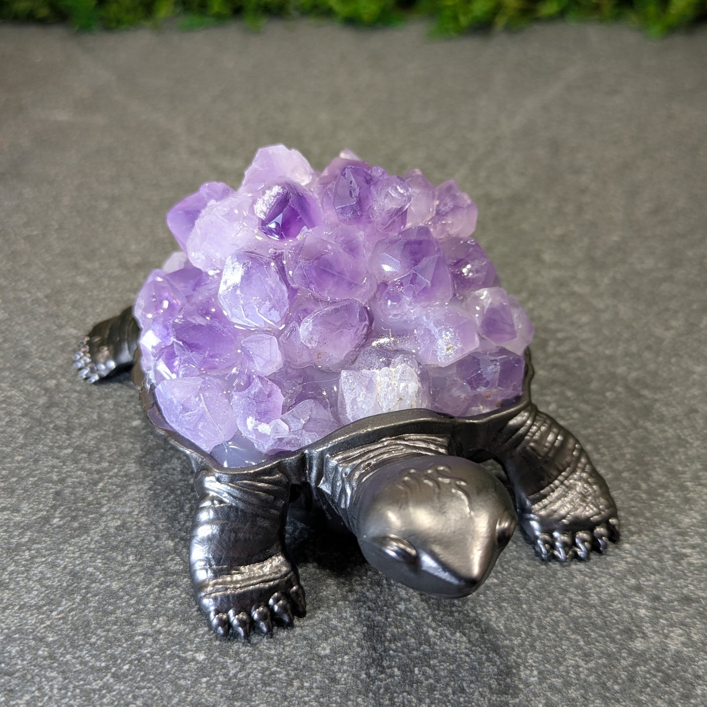 Amethyst Turtle